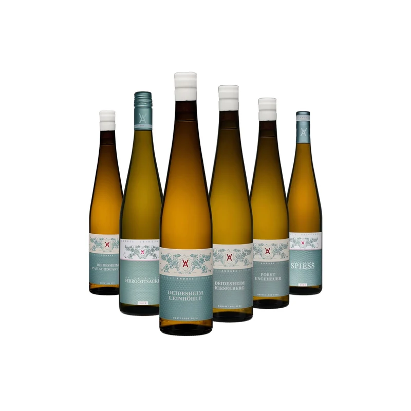 Weinpaket Pfälzer Riesling-Lagen