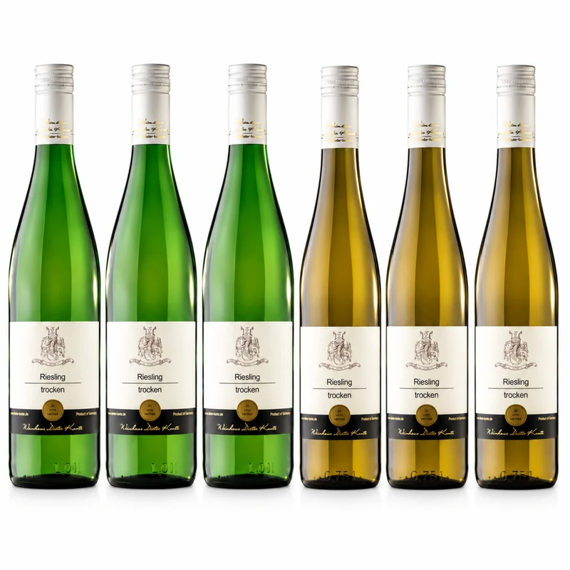Riesling trocken Probierpaket 2025 – 2 Rieslinge, 6 Flaschen