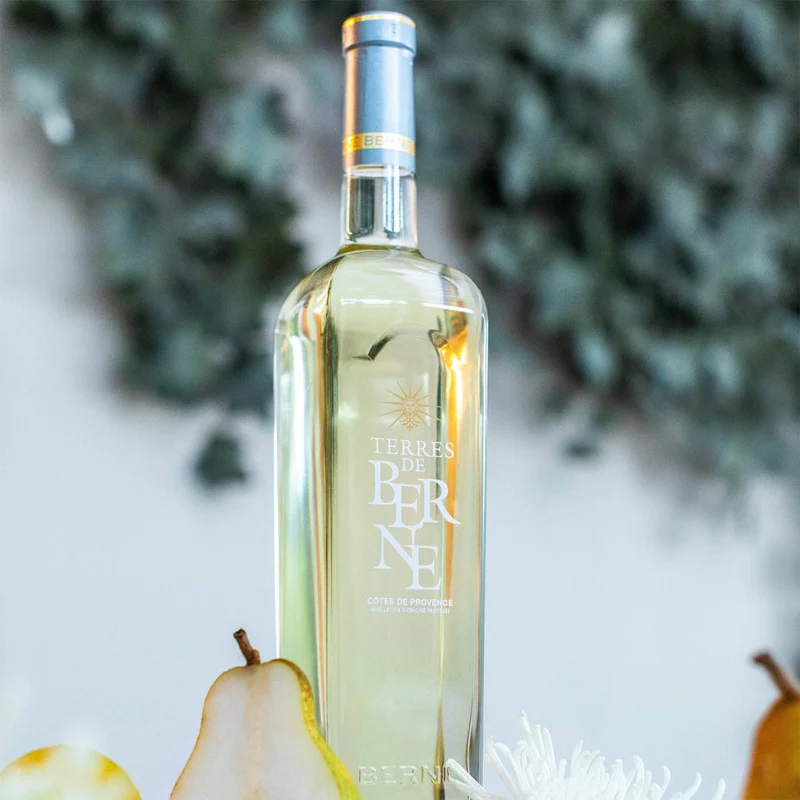 Vin Blanc 2023 AOP Côtes de Provence - Terres de Berne