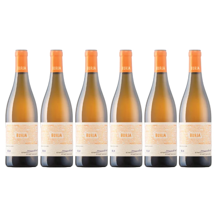 Burja Bela 2024 Biowein 6er-Paket