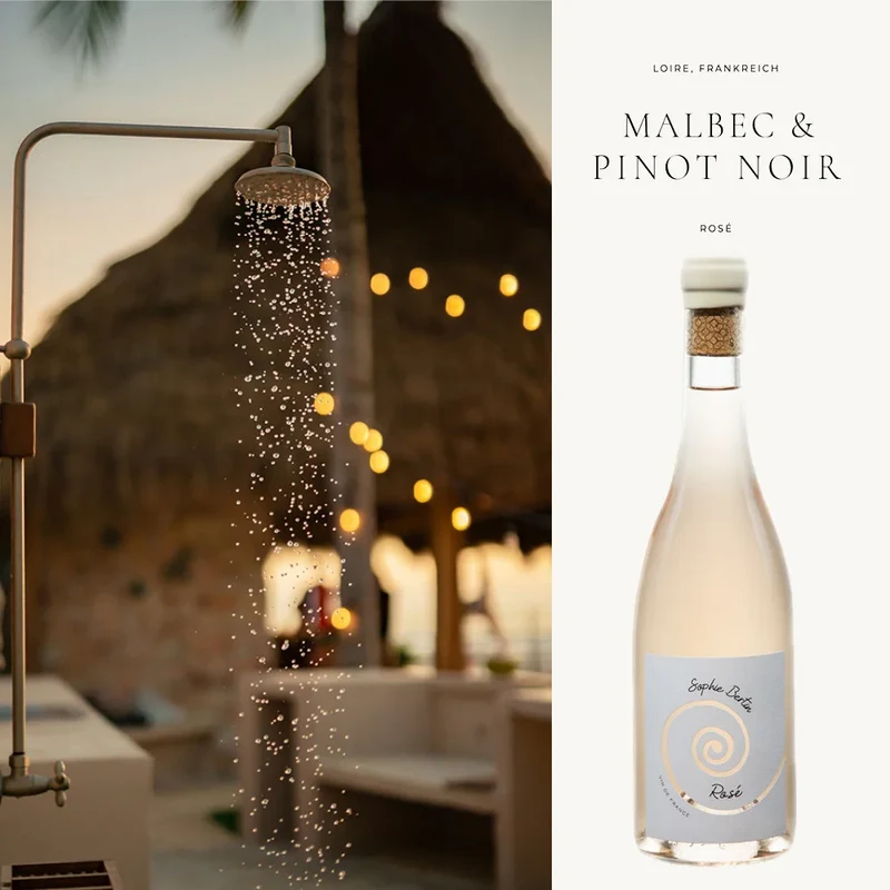 Guter trockener Rosé von der Loire - Les Plaisirs de Sophie - 0,75L