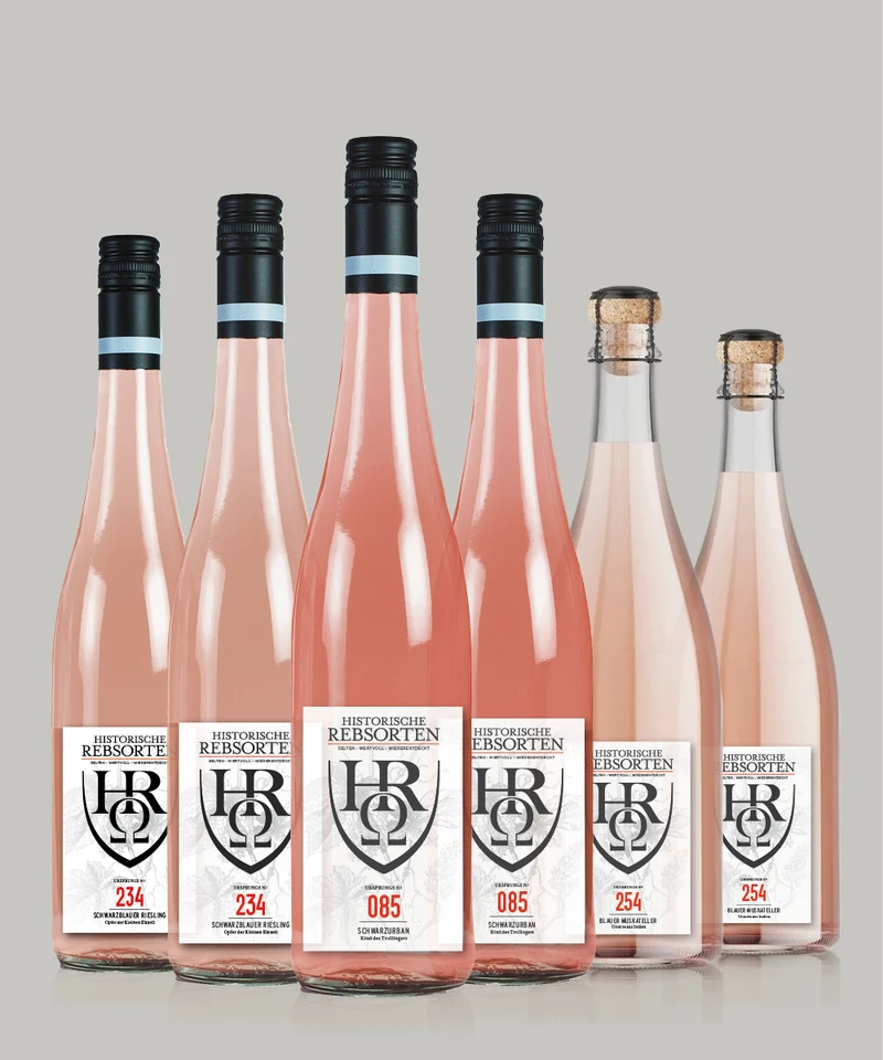 6er Entdeckerpaket - "Geschichte des Roséweines"
