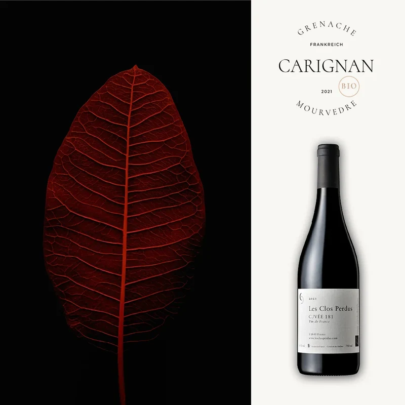 Cuvée 181: französischer Rotwein 2021 (Bio) - 0,75L