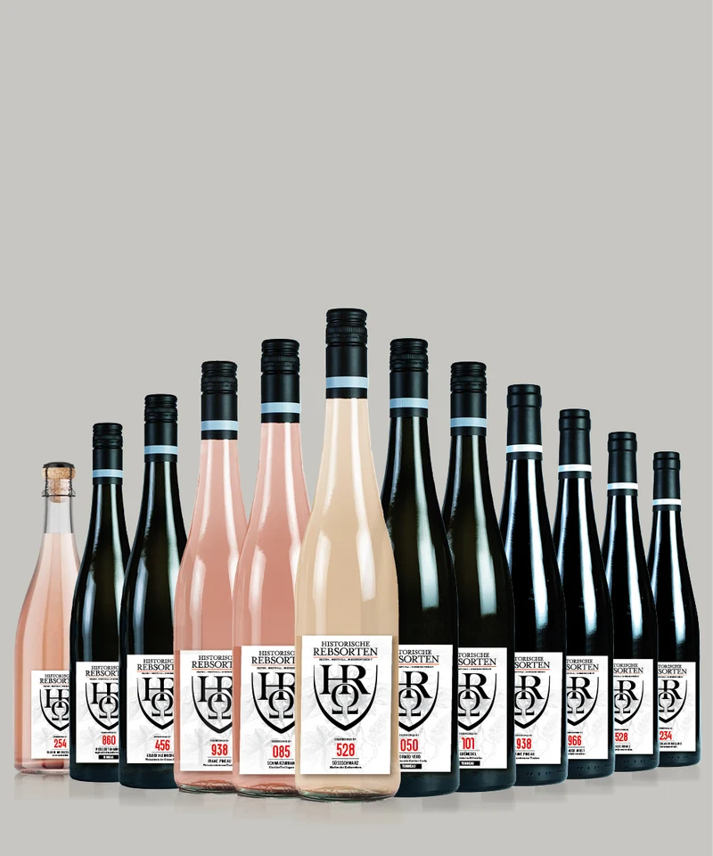 12er Geschenkpaket - „8000 Jahre Weingeschichte im Glas“