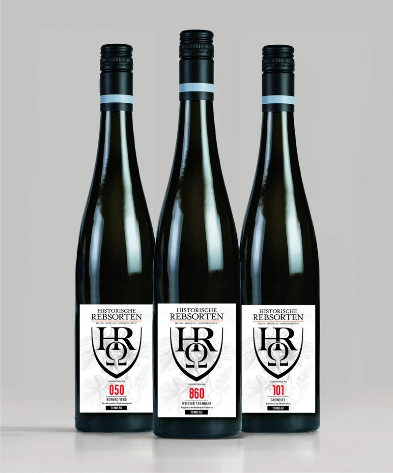 3-er Entdeckerpaket "2024-er Weißwein Tonneau"