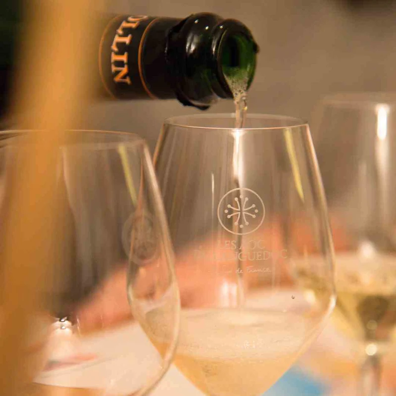 Weinprobe 26.08.2026 - Entdeckungsreise Languedoc