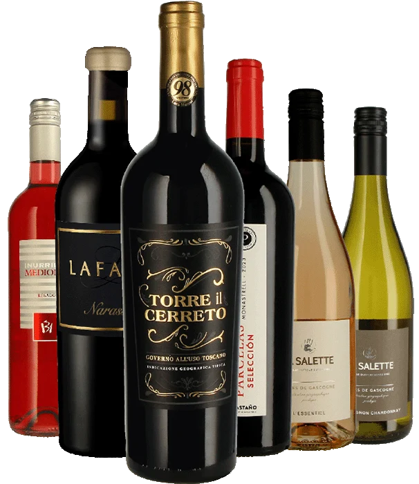 Mixed-Paket 6x1 aus Weinkarte 10-26