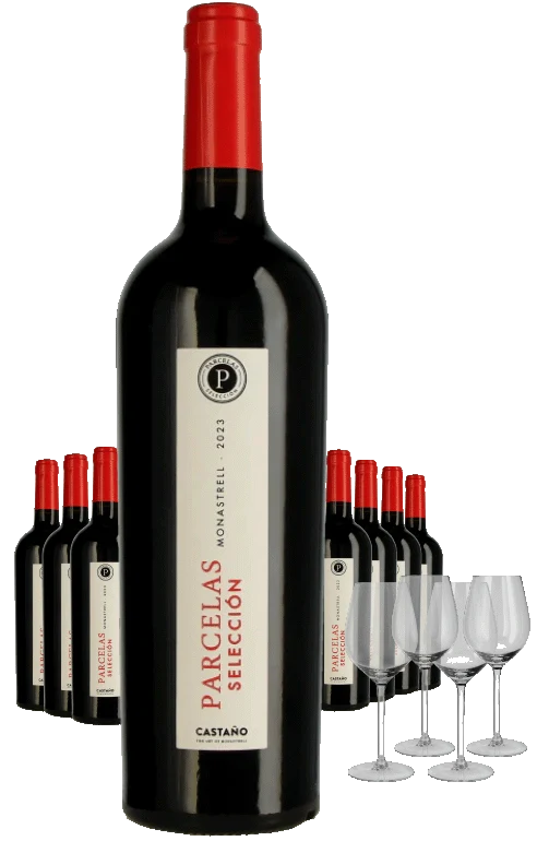 Paket 8 Flaschen Castano Parcelas Seleccion + 4 Gläser
