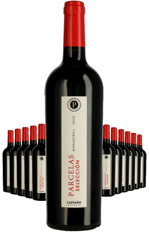 Paket 12 Flaschen Castano Parcelas Seleccion
