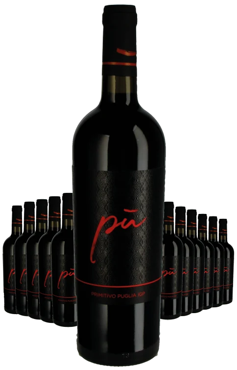 Paket 12 Flaschen Piu Primitivo