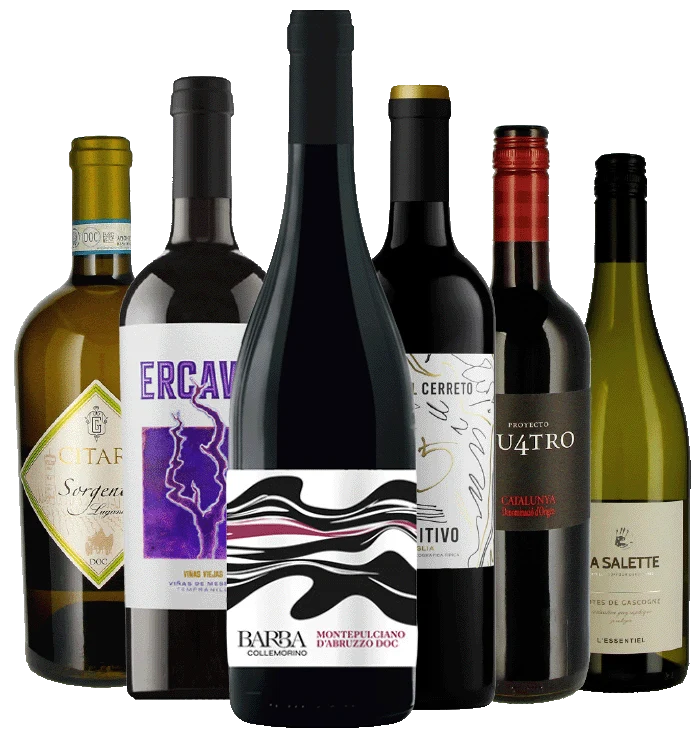 Mixed-Paket 6 x 1 Flasche aus Weinkarte 09 - 2026