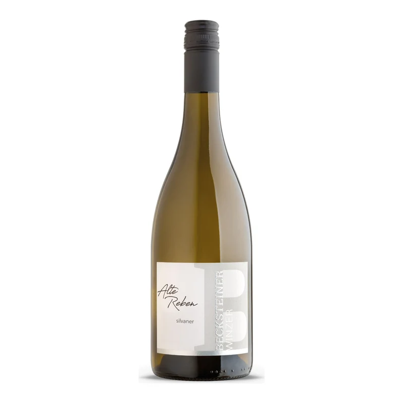 2024 ALTE REBEN Silvaner