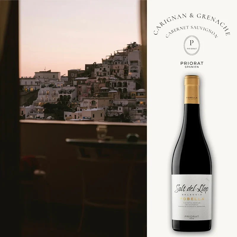 Sehr guter Priorat Rotwein: 'Salt del Llop' 2021 - 0,75 L