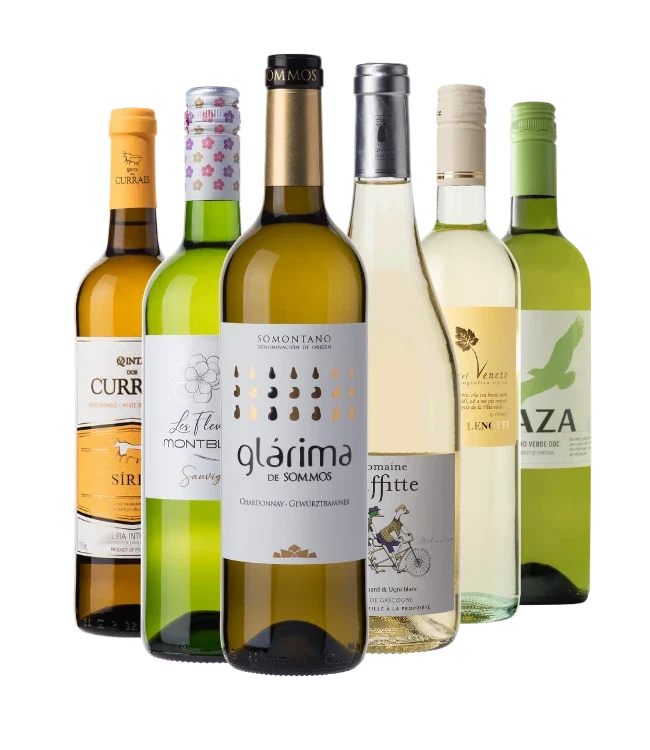 Probierpaket "Weißweine gut&günstig"