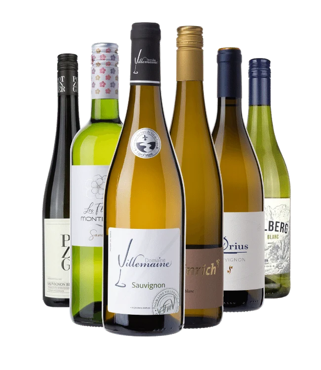 Probierpaket "Sauvignon Blanc"