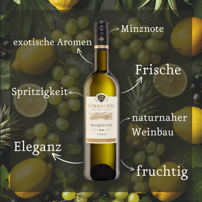 2025 Durbacher Souvignier Gris - 2STERN - trocken KLASSIK