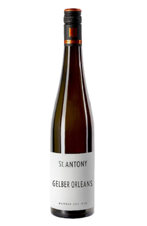 Gelber Orleans trocken 2024 BIO