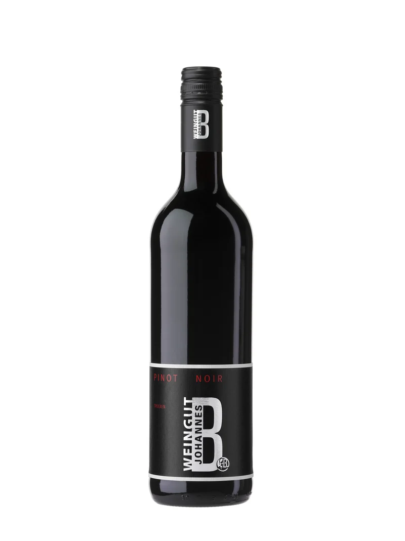 2025 Pinot Noir Bio trocken