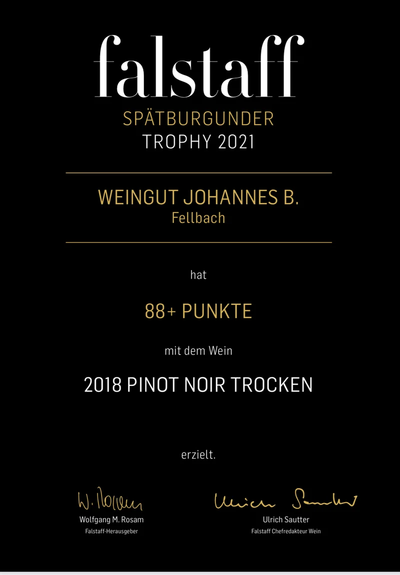 2025 Pinot Noir Bio trocken