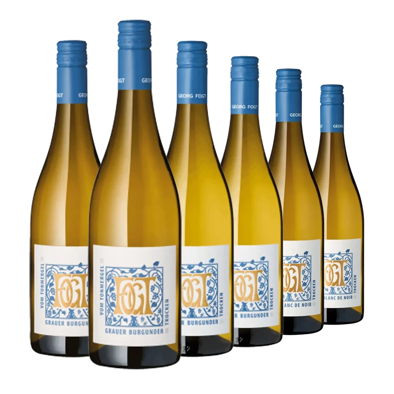 Weingut Fogt neuer Jahrgang 2025