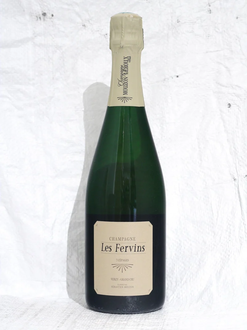 Les Fervins 2018 0,75L Bio