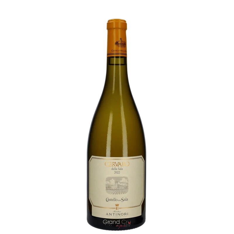 2024 Antinori Cervaro della Sala