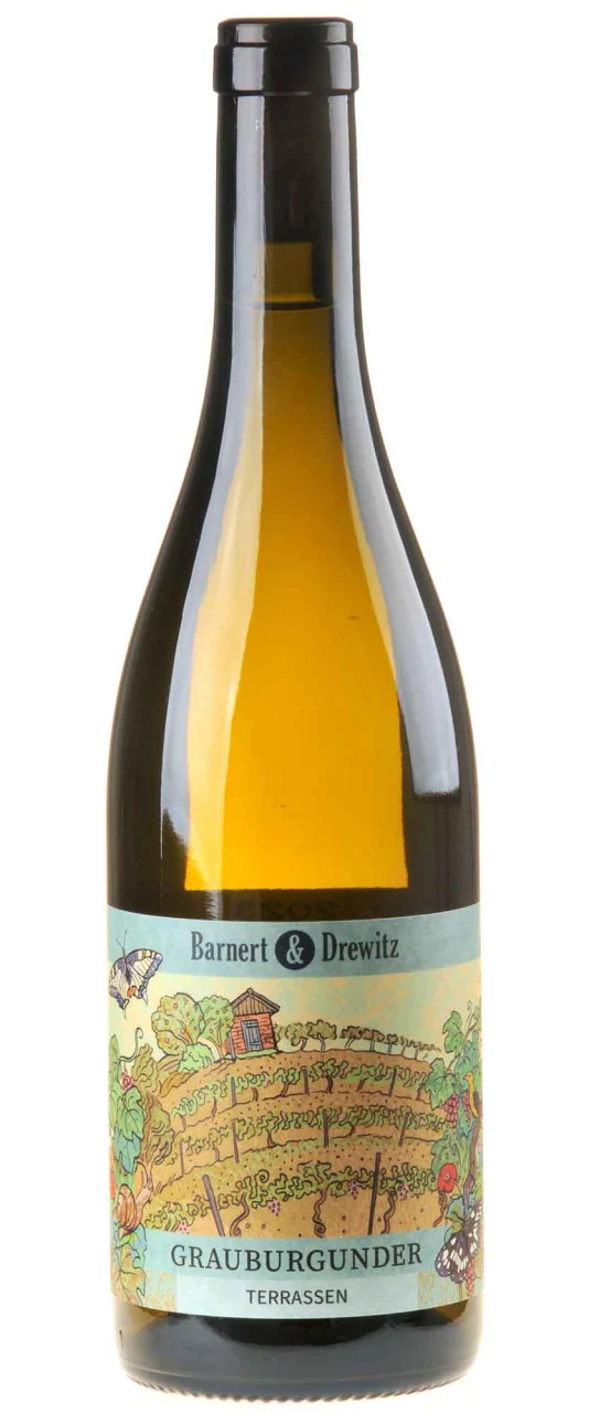 Barnert & Drewitz Grauburgunder Alte Reben - Terrassen 2024 white