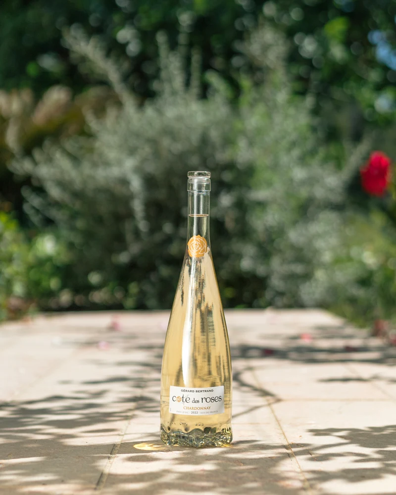 Cote des Roses chardonnay IGP Pays d'Oc 2025 – 75cl vin blanc