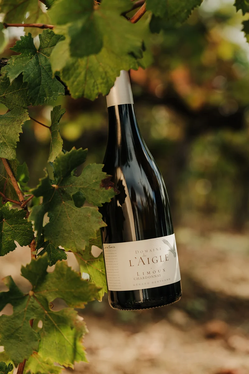 Domaine de l'Aigle Chardonnay AOP Limoux 2024 – 75cl vin blanc
