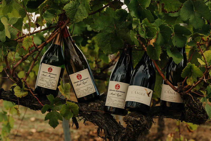 Domaine de l'Aigle Chardonnay AOP Limoux 2024 – 75cl vin blanc