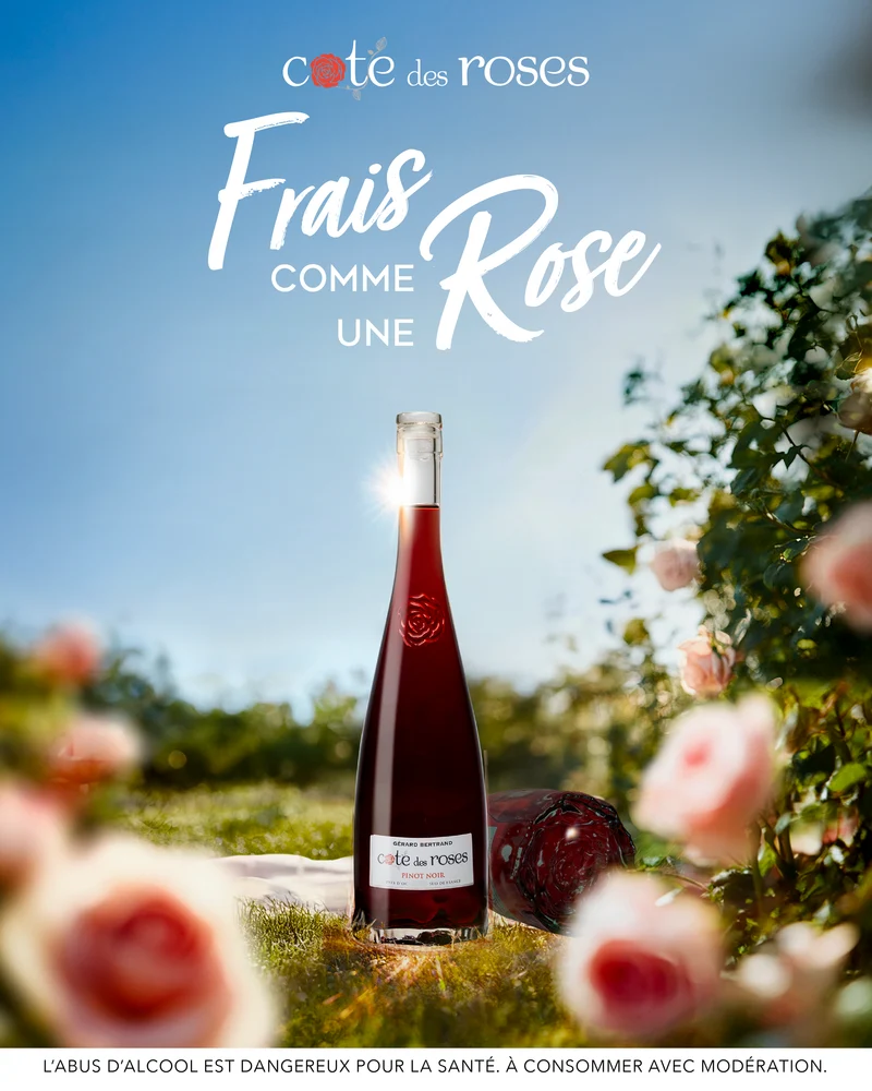 Cote des Roses Pinot noir IGP Pays d'Oc 2024 – 75cl vin rouge