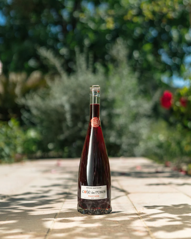 Cote des Roses Pinot noir IGP Pays d'Oc 2024 – Lot 6 Bouteilles 75cl vin rouge