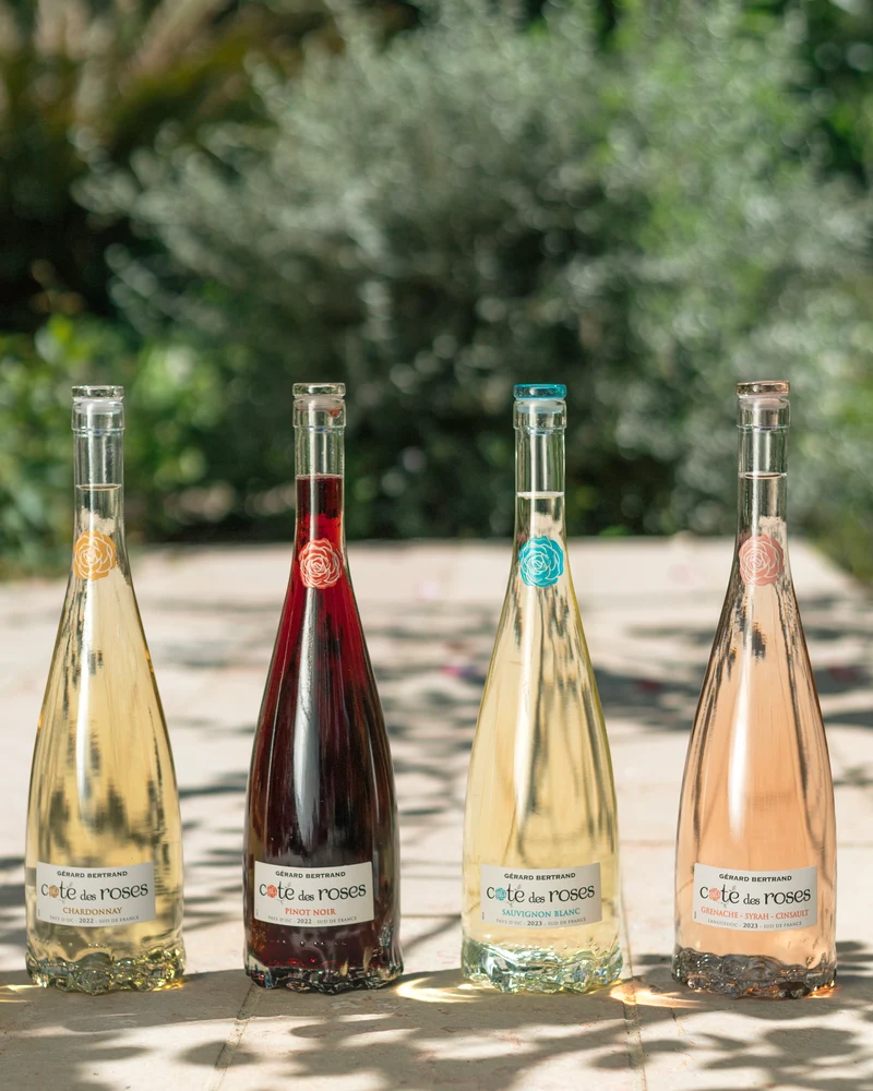 Cote des Roses Pinot noir IGP Pays d'Oc 2024 – Lot 6 Bouteilles 75cl vin rouge