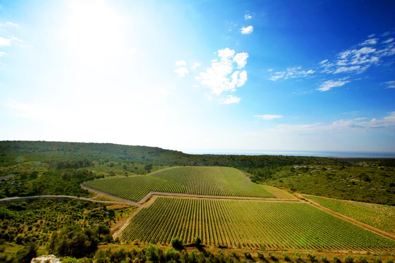 L'Hospitalitas AOP La Clape 2024 – 75cl vin rouge
