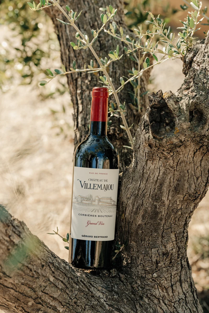 Château de Villemajou Grand Vin Rouge AOP Boutenac 2023 – 75cl Caisse Bois 6 Bouteilles
