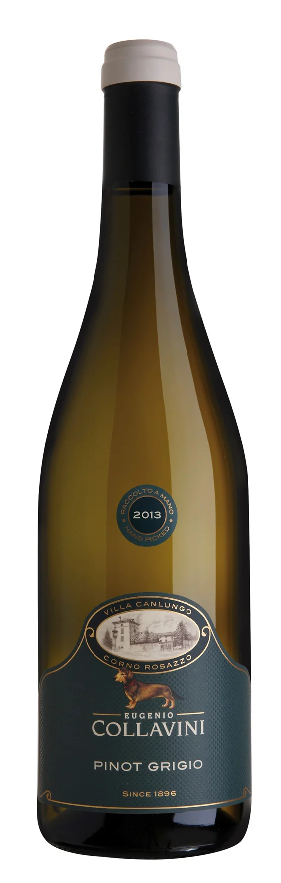 Villa Canlungo Pinot Grigio Collio DOC