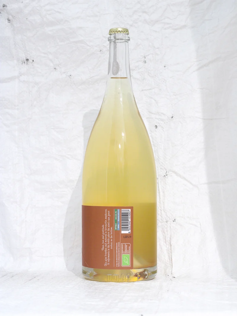 Prosecco Colfondo Anfora 1,5L Bio