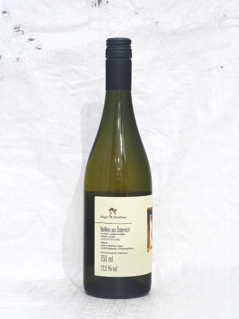 Grüner Veltliner Vielfalt 2021 0,75L Bio