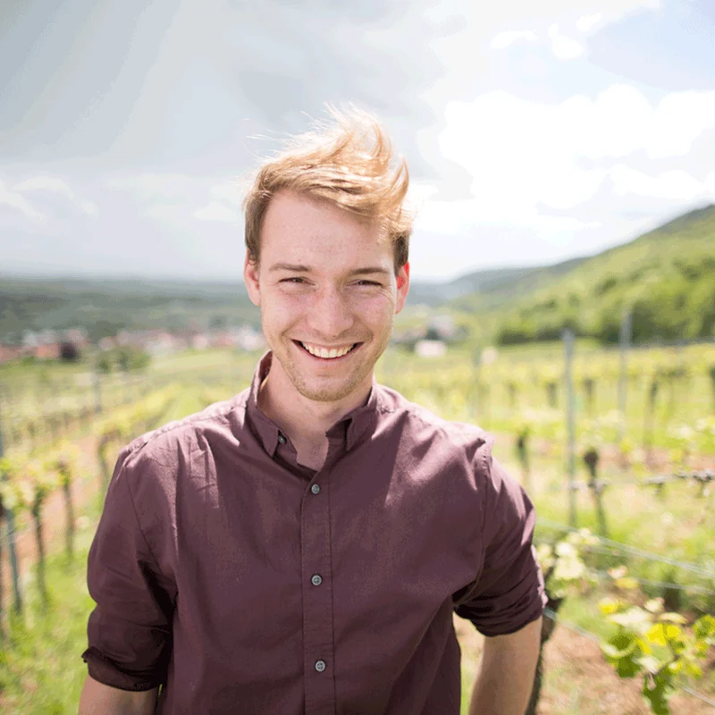 Weinauswahl „Pfälzer Supertalent“