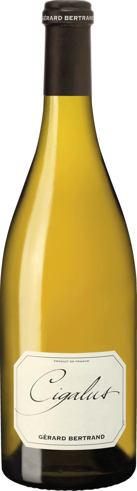 Cigalus Blanc