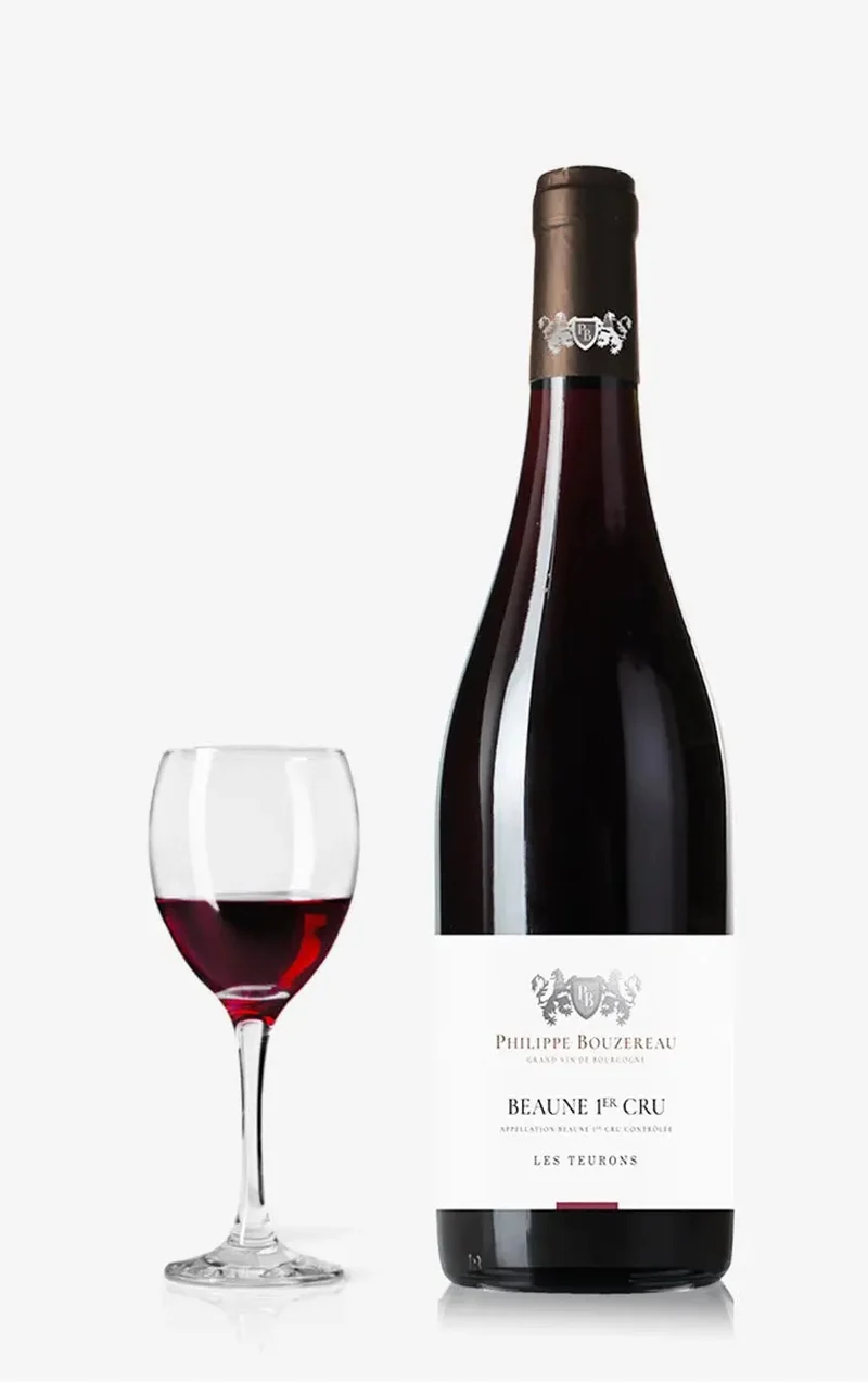 Beaune 1er Cru Les Teurons 2022