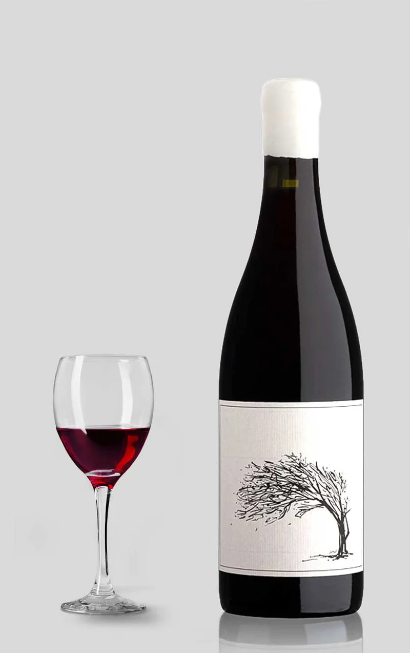 Savage The Girl Next Door Syrah 2024