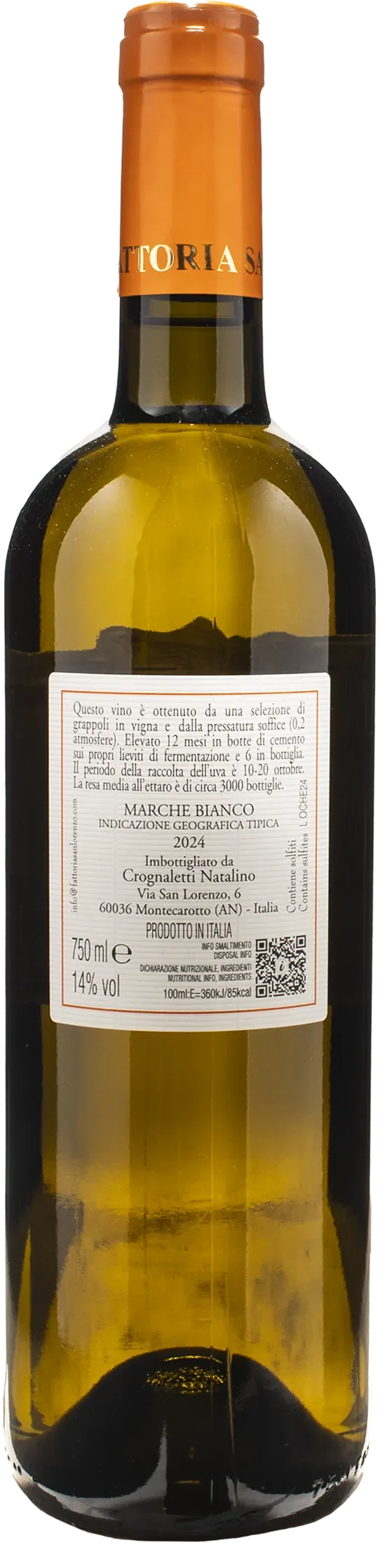 Fattoria San Lorenzo Le Oche 2024