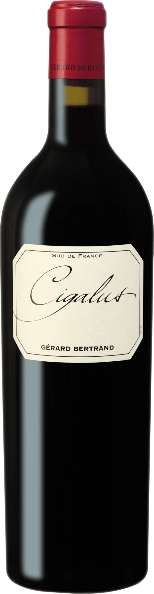Cigalus Rouge