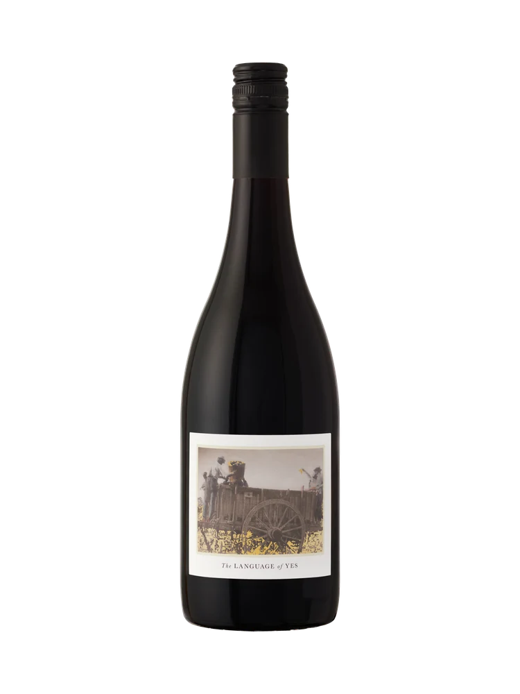 2021 The Language of Yes Syrah Rancho Real Vineyard