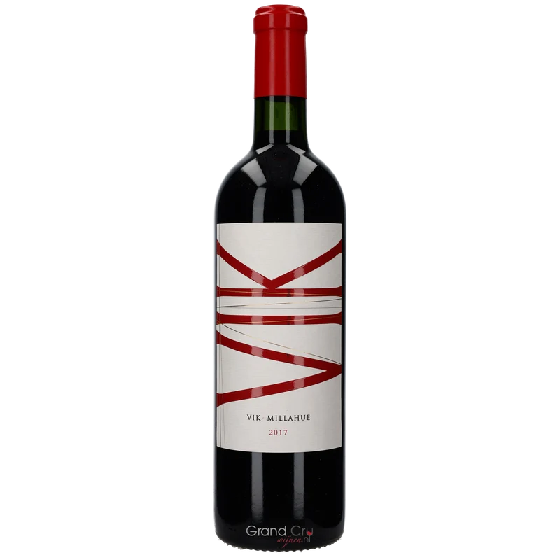 2020 Viña Vik Winery VIK