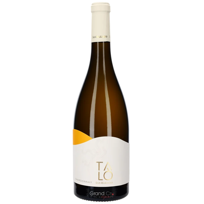 2024 San Marzano Talo Chardonnay
