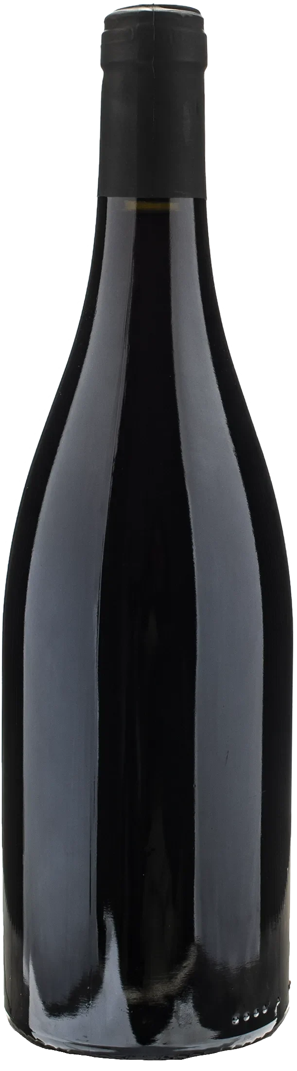Robinot L'Ange Vin Regard du Loire Pineau d'Aunis