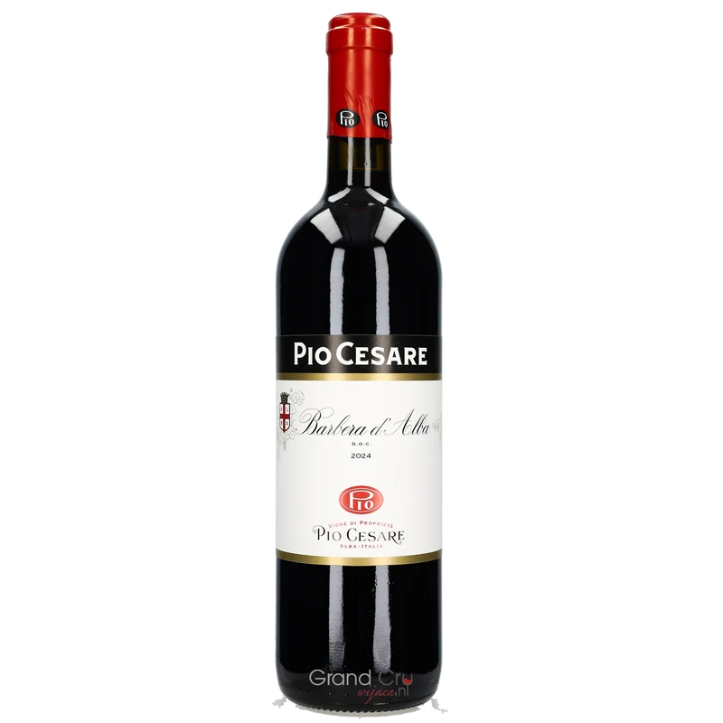 2024 Pio Cesare Barbera d'Alba