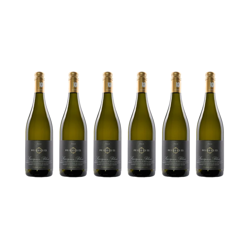 Sauvignon Blanc – 2023